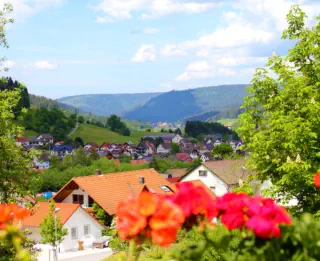 Traumhafter Ausblick von unserer Terrasse nach Klosterreichenbach und über den Schwarzwald.