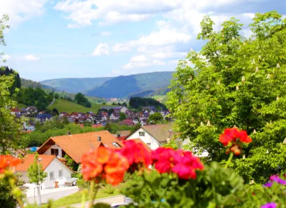 Traumhafter Ausblick von unserer Terrasse nach Klosterreichenbach und über den Schwarzwald.